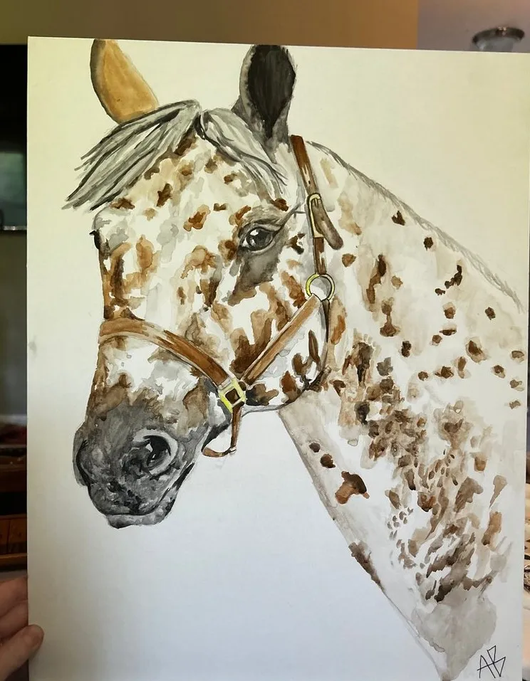 Appaloosa — Mixed media on paper by Ashlyn Berry Collins