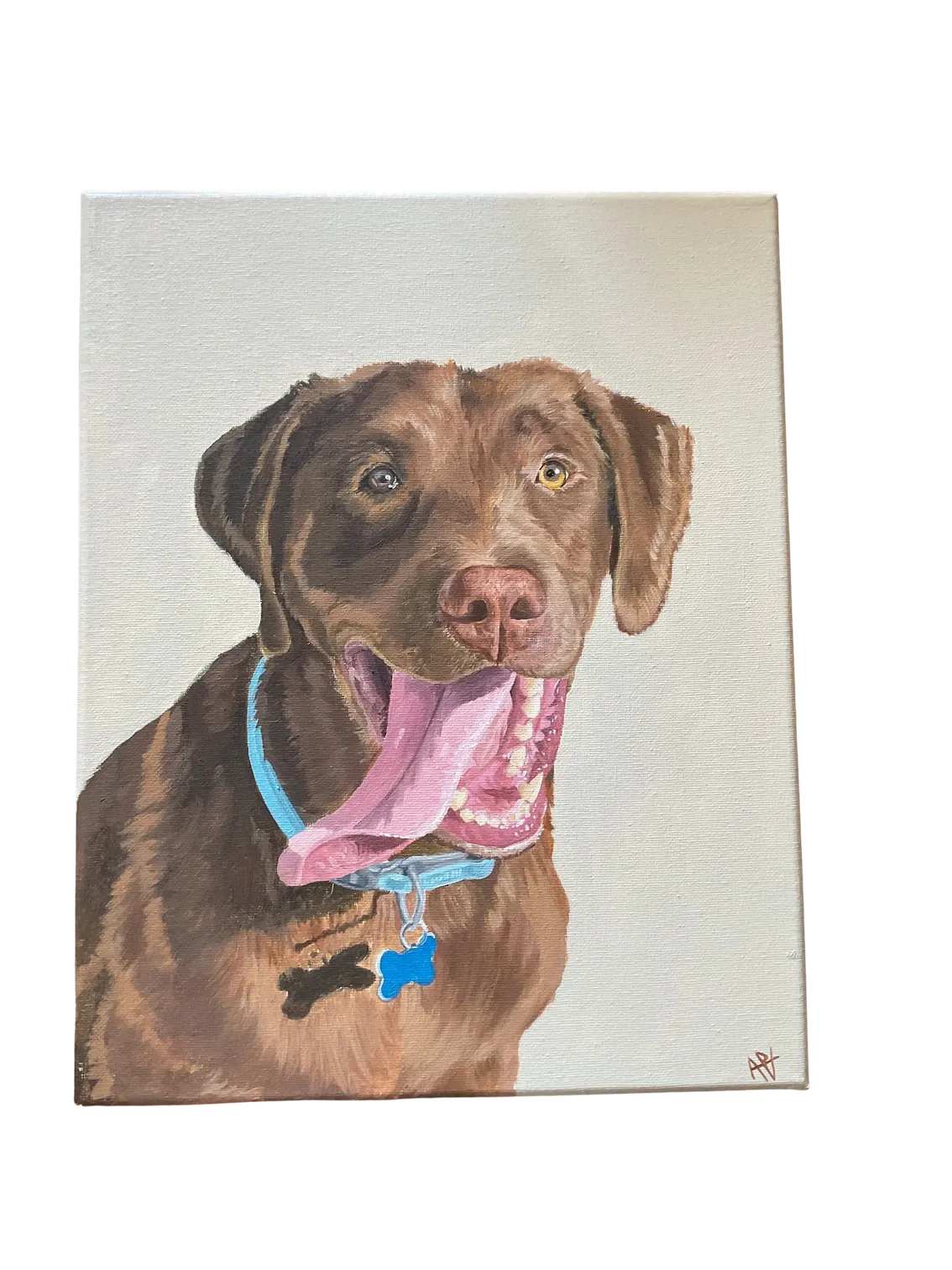 Chocolate Lab — Acrylic on canvas by Ashlyn Berry Collins