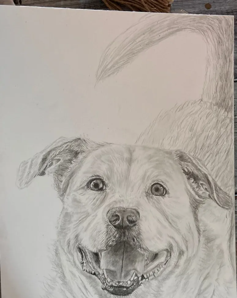 Smiling Shepherd — Graphite on paper by Ashlyn Berry Collins